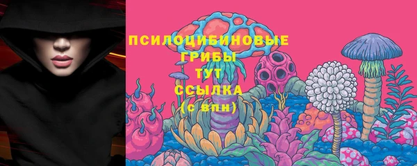 ECSTASY Алексеевка